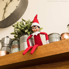 The Elf on the Shelf: A Christmas Tradition - Girl Scout Elf with Blue Eyes - Includes Artfully Illustrated Storybook, Keepsake Box and Official Adoption Certificate