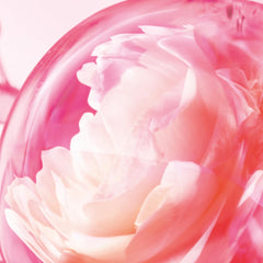 Charlotte Tilbury Love Frequency Eau De Parfum - Pheromone Enhancing Floral Perfume Enriched with Naturally-Derived Oils - Long-Lasting Scent with Notes of Patchouli Musk & Rose